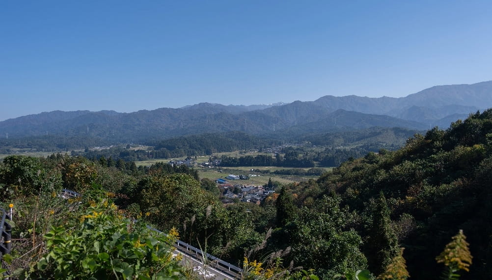 四季が彩る里山の自然