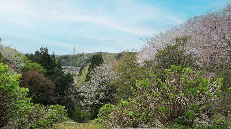 大峰山（登山）
