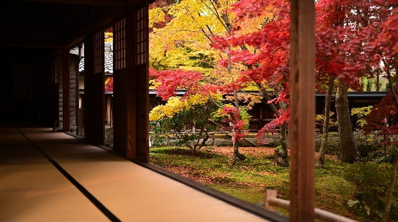 清水園（紅葉）